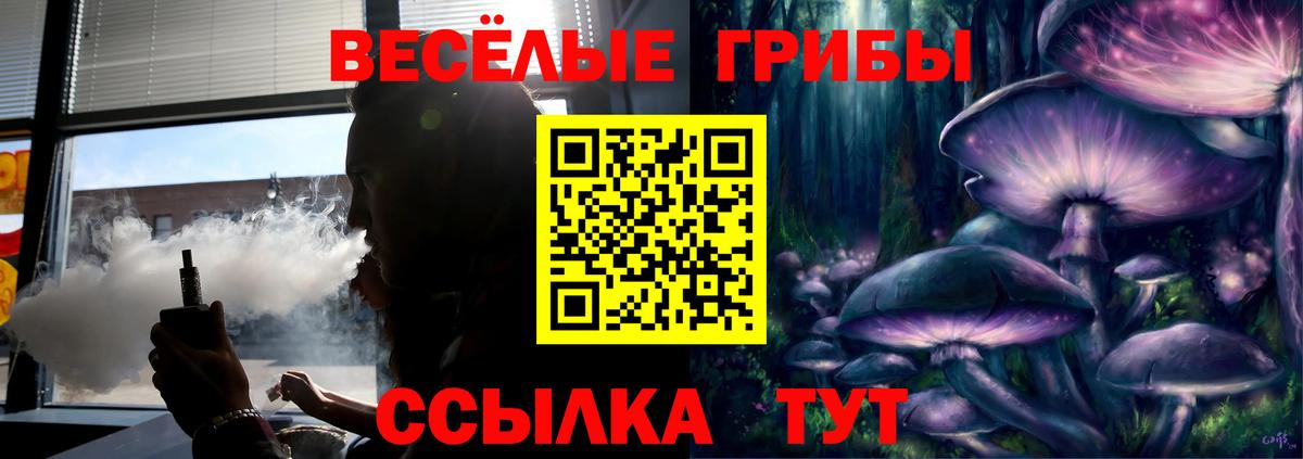 Алейск  Псилоцибиновые грибы мицелий  купить  сайты  Вход с VPN 