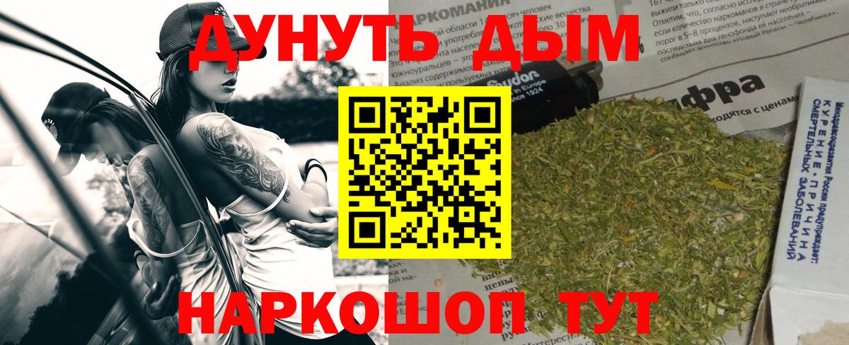 Конопля план  Конопля гибрид  Алейск  Конопля тримм  Вход с VPN  Конопля Bruce Banner 